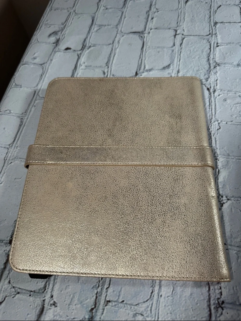Elaine Turner Gold Metallic iPad case snap closure business card holder